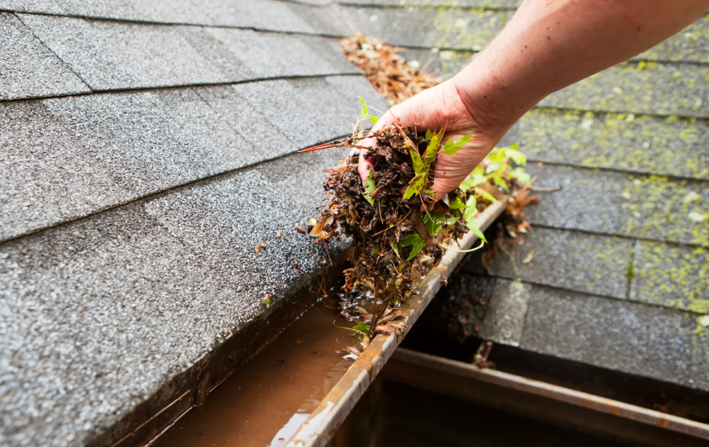 Scranton PA Roof Maintenance